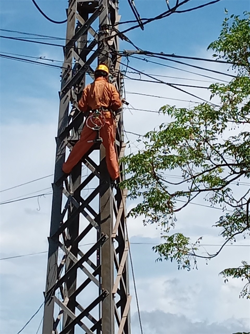Điện 2 CT.jpg