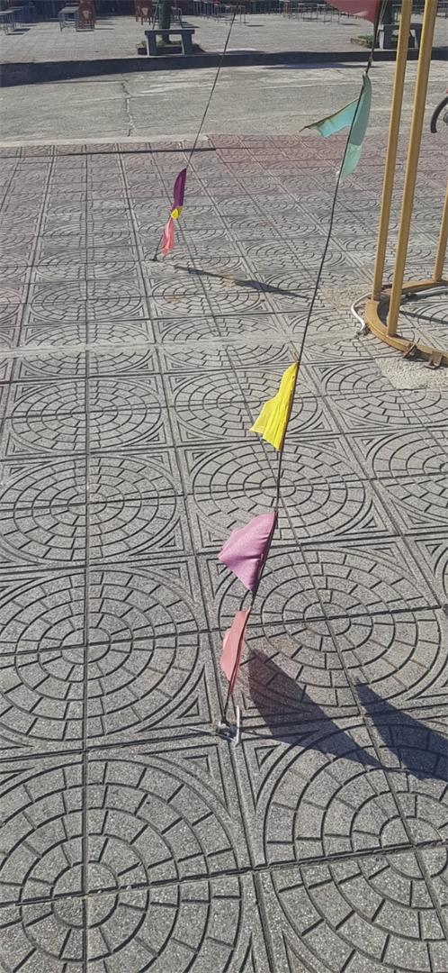 12345.jpg